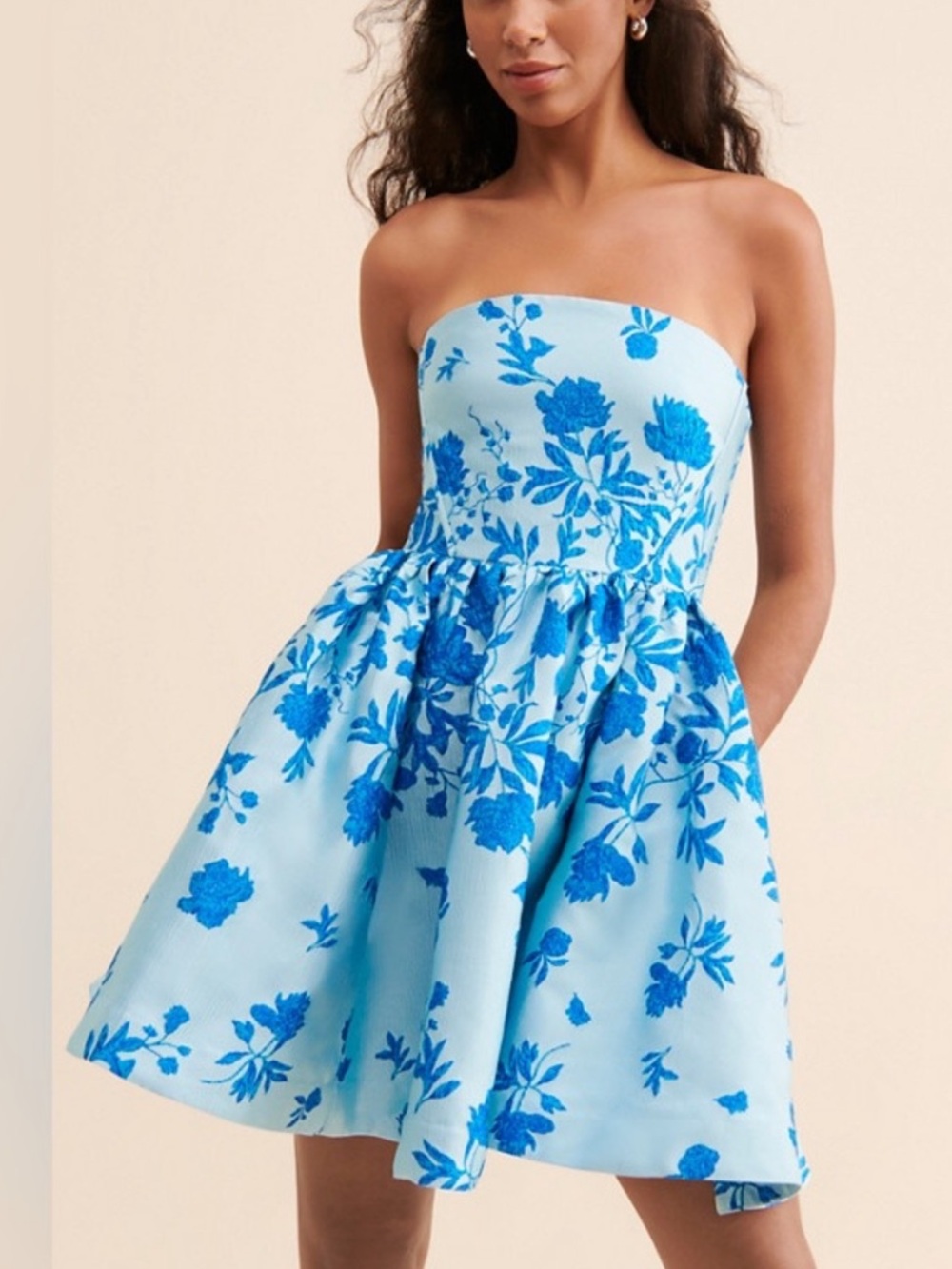 ML Monique Lhuillier Kate Jacquard Mini Dress Blue Floral 4 57166